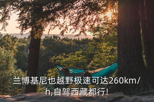 拉博基尼,蘭博基尼十款最帥車公布