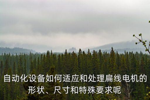 自動化設備如何適應和處理扁線電機的形狀、尺寸和特殊要求呢