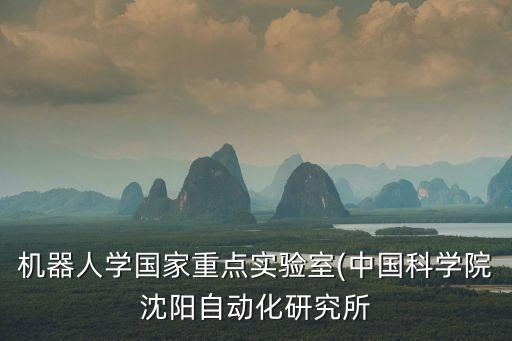 機器人學(xué)國家重點實驗室(中國科學(xué)院沈陽自動化研究所
