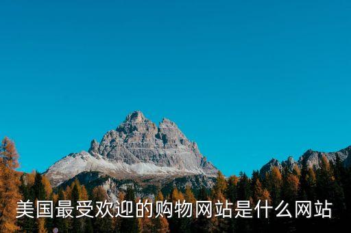 美國(guó)最受歡迎的購(gòu)物網(wǎng)站是什么網(wǎng)站