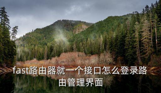 fast路由器就一個接口怎么登錄路由管理界面