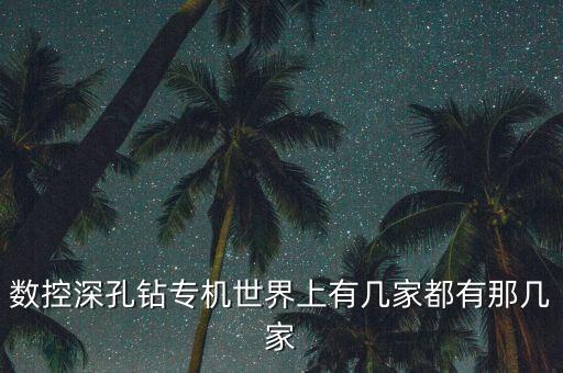 數(shù)控深孔鉆專機(jī)世界上有幾家都有那幾家