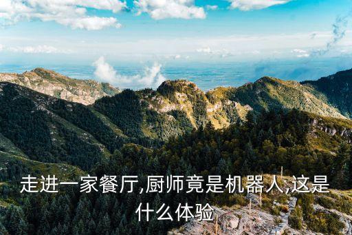 走進一家餐廳,廚師竟是機器人,這是什么體驗