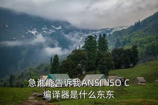急誰(shuí)能告訴我ANSI  ISO C編譯器是什么東東