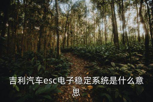 吉利汽車esc電子穩(wěn)定系統(tǒng)是什么意思