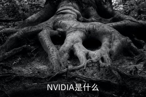 nvidia，什么叫NVIDIA