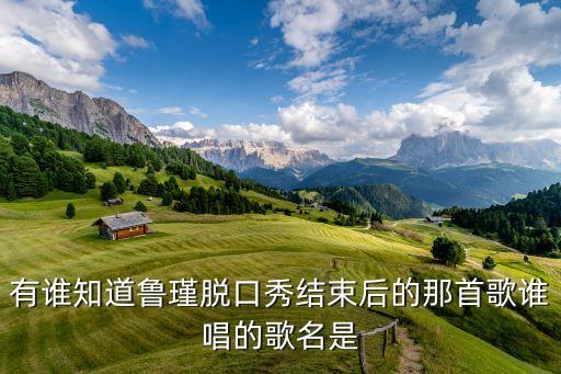 魯瑾，有誰(shuí)知道魯瑾脫口秀結(jié)束后的那首歌誰(shuí)唱的歌名是