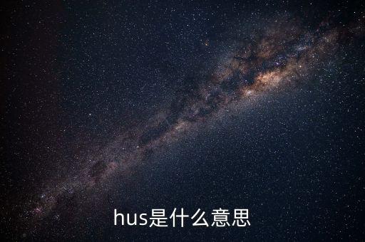 hus是什么意思