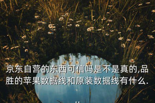 品勝數(shù)據(jù)線比原裝厚實(shí),品勝數(shù)據(jù)線怎么樣?
