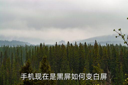 手機(jī)現(xiàn)在是黒屏如何變白屏