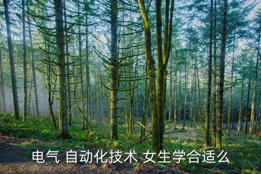 電氣 自動(dòng)化技術(shù) 女生學(xué)合適么