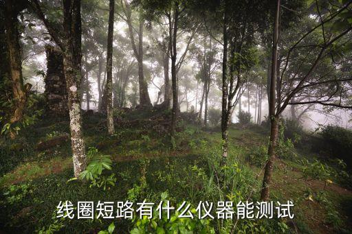 線(xiàn)圈短路有什么儀器能測(cè)試