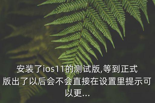 安裝了ios11的測(cè)試版,等到正式版出了以后會(huì)不會(huì)直接在設(shè)置里提示可以更...