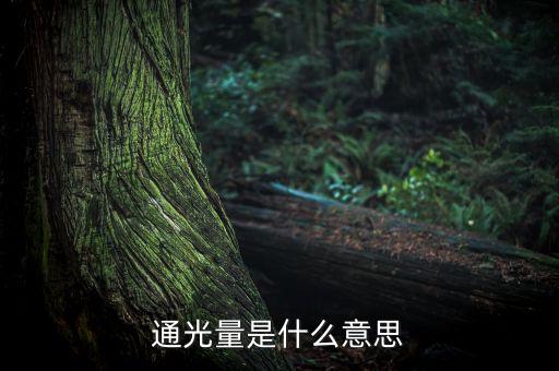 通光量是什么意思