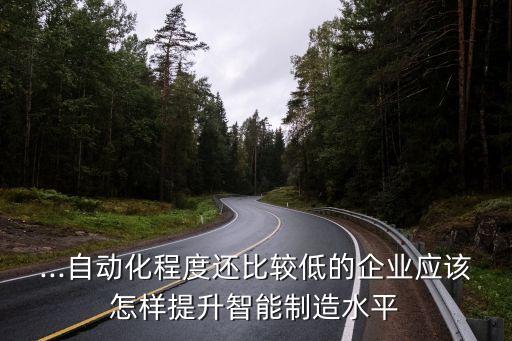 ...自動化程度還比較低的企業(yè)應(yīng)該怎樣提升智能制造水平