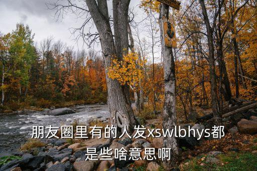 朋友圈里有的人發(fā)xswlbhys都是些啥意思啊