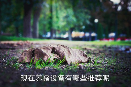 宜春豬場自動化設(shè)備,自動化養(yǎng)豬設(shè)備優(yōu)點:節(jié)省人力成本高