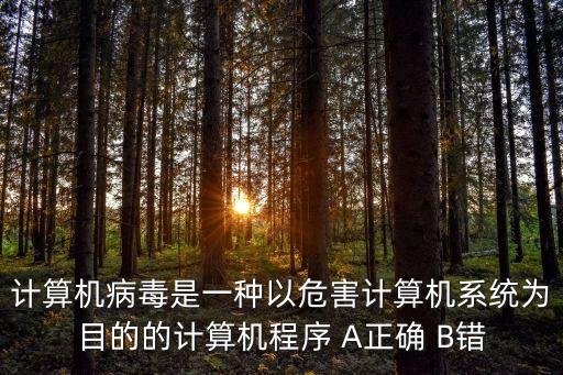 計(jì)算機(jī)病毒是一種以危害計(jì)算機(jī)系統(tǒng)為目的的計(jì)算機(jī)程序 A正確 B錯(cuò)