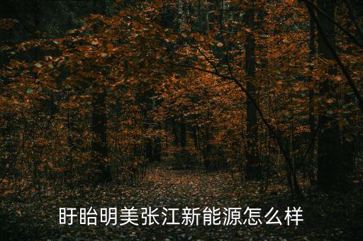 盱眙明美張江新能源怎么樣