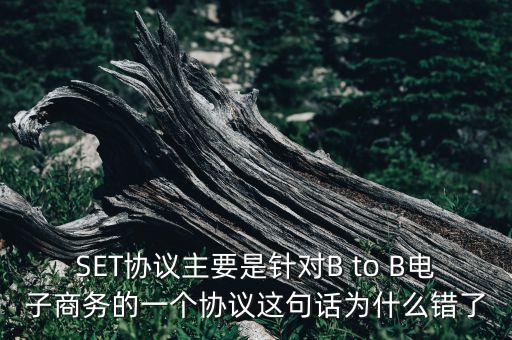 SET協(xié)議主要是針對B to B電子商務(wù)的一個(gè)協(xié)議這句話為什么錯(cuò)了