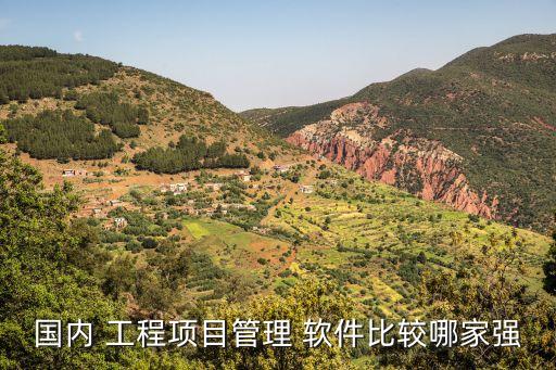 國內(nèi) 工程項目管理 軟件比較哪家強