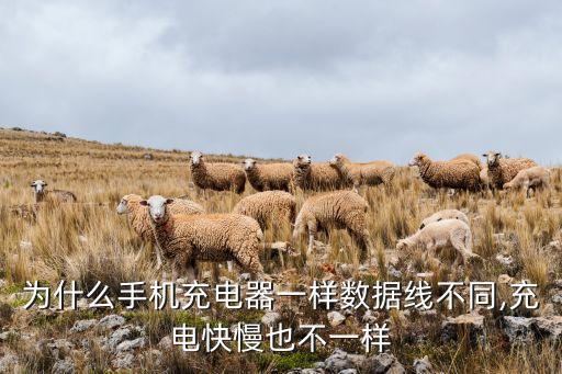 為什么手機(jī)充電器一樣數(shù)據(jù)線不同,充電快慢也不一樣