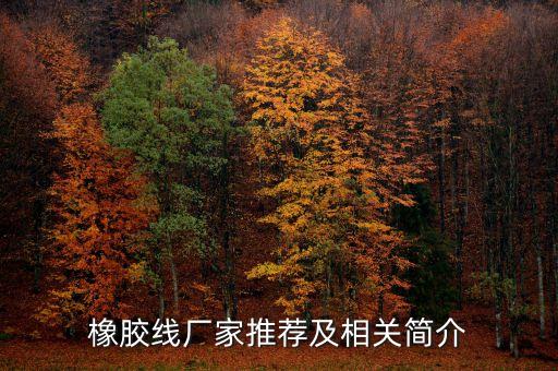 橡膠自動(dòng)化設(shè)備生產(chǎn)商,生產(chǎn)合成橡膠的上市公司有哪些?