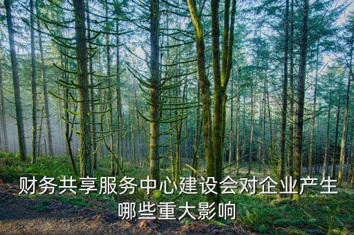  財務(wù)共享服務(wù)中心建設(shè)會對企業(yè)產(chǎn)生哪些重大影響