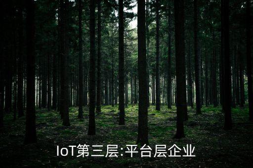 IoT第三層:平臺層企業(yè)