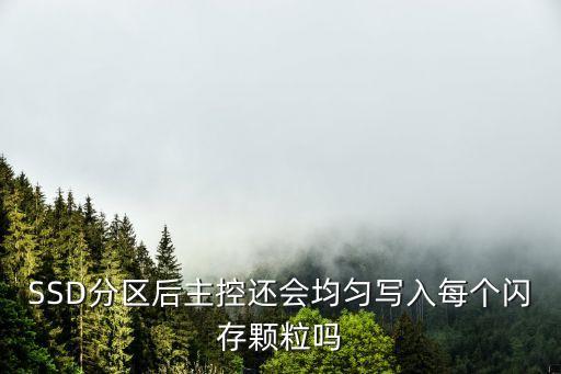 ssd 換主控 數(shù)據(jù),自己開發(fā)的主控有哪些?武漢機(jī)器人