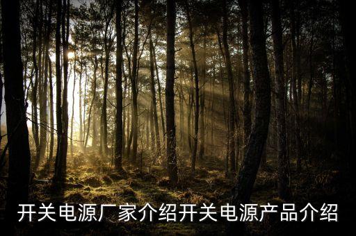 開關(guān)電源廠家介紹開關(guān)電源產(chǎn)品介紹