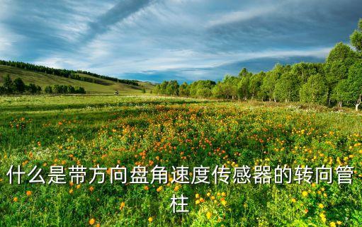 什么是帶方向盤角速度傳感器的轉(zhuǎn)向管柱