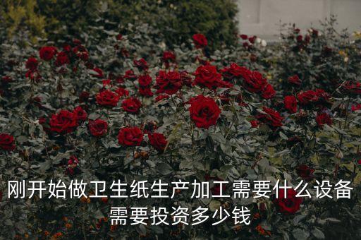 全自動化卷紙生產(chǎn)設(shè)備,衛(wèi)生紙加工設(shè)備有全自動和半自動之別