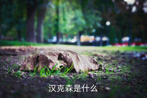 漢克森是什么