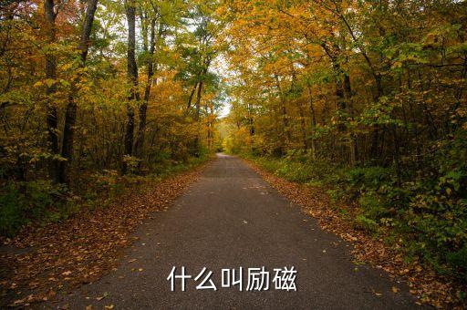 什么叫勵(lì)磁