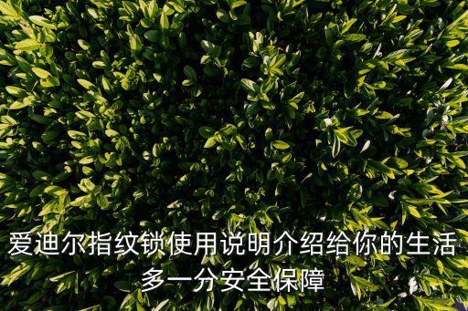 愛(ài)迪爾門鎖,酒店愛(ài)迪爾門鎖怎么樣?價(jià)格參考