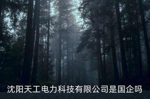 沈陽天工電力科技有限公司是國企嗎