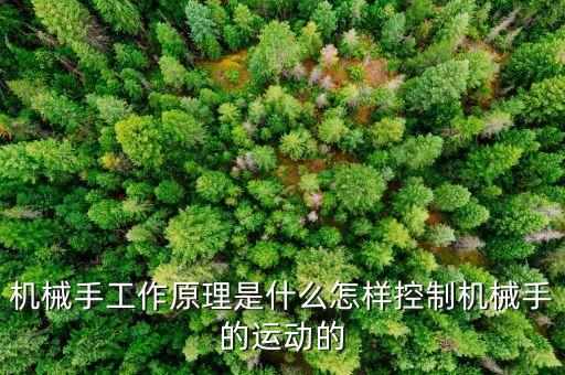 機械手工作原理是什么怎樣控制機械手的運動的