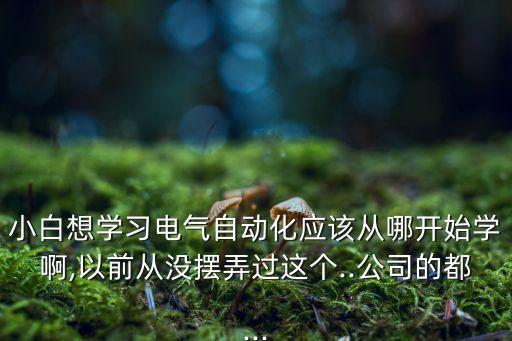 小白想學(xué)習(xí)電氣自動(dòng)化應(yīng)該從哪開(kāi)始學(xué)啊,以前從沒(méi)擺弄過(guò)這個(gè)..公司的都...