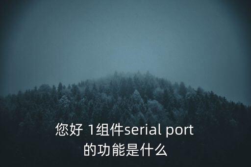 您好 1組件serial port的功能是什么