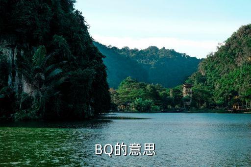 BQ的意思