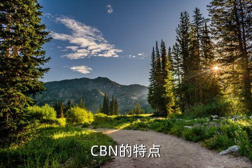 CBN的特點(diǎn)