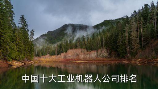 中國十大工業(yè)機器人公司排名