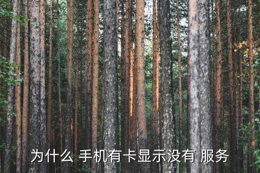 為什么 手機(jī)有卡顯示沒有 服務(wù)