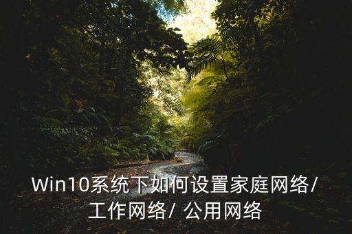 公用網(wǎng),win10系統(tǒng)如何設(shè)置專用網(wǎng)絡(luò)和公主網(wǎng)絡(luò)?