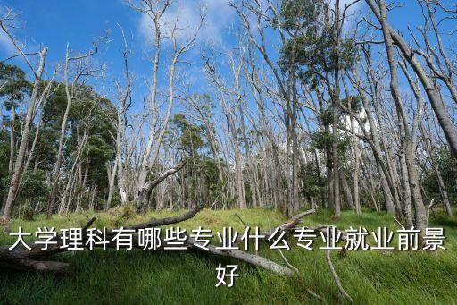 大學理科有哪些專業(yè)什么專業(yè)就業(yè)前景好