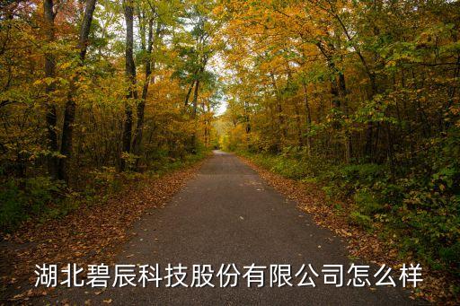 湖北碧辰科技股份有限公司怎么樣