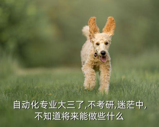 大專電氣自動化非常迷茫,電氣自動化專業(yè)的未來發(fā)展