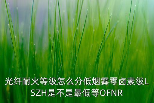 光纖耐火等級怎么分低煙霧零鹵素級LSZH是不是最低等OFNR