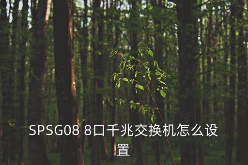 SPSG08 8口千兆交換機(jī)怎么設(shè)置